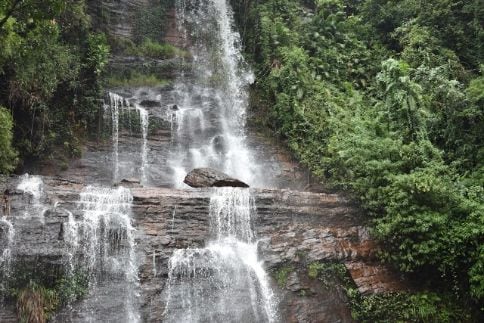 Bhadra Wildlife Sanctuary-1